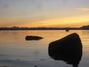 IMG 0181